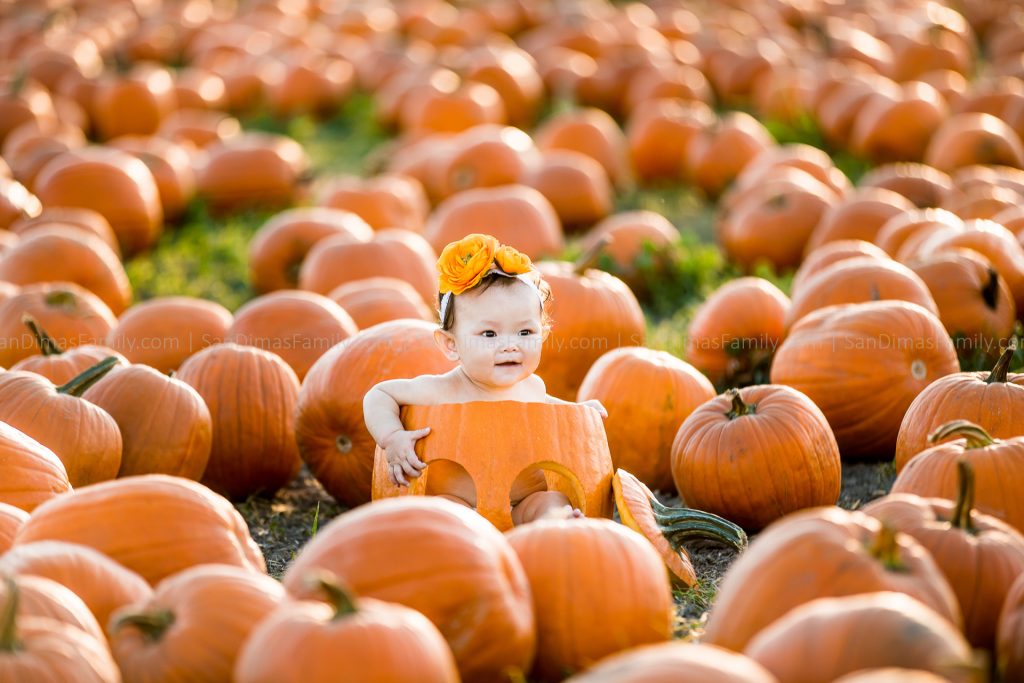 Cal Poly Pomona Pumpkin Patch