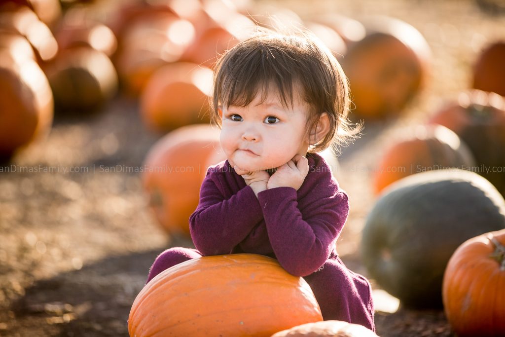 Cal Poly Pomona Pumpkin Patch