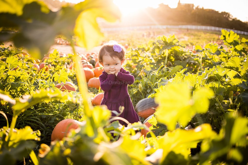 Cal Poly Pomona Pumpkin Patch