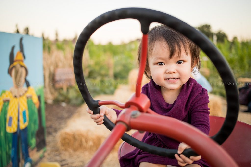 Cal Poly Pomona Pumpkin Patch