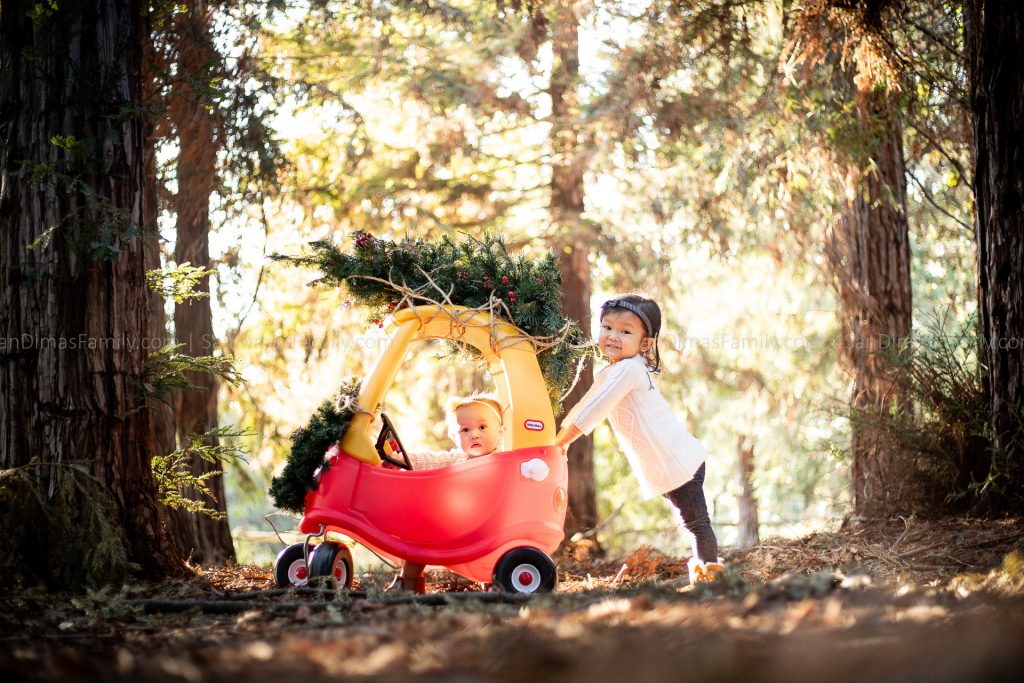 California Botanic Garden Christmas Photo